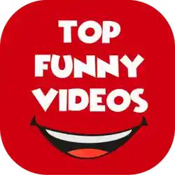 TOP Funny videos